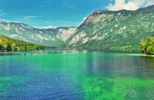 Private Bohinj & Vogel Tour from Bled