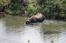3-Day Chitwan Jungle Safari Tour from Kathmandu