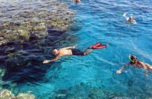 Marsa Mubarak Snorkeling Sea Trip, Lunch & Transfer :Marsa Alam