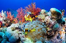 Full Day Marsa Mubarak Snorkeling Sea Trip & Lunch With Transfer – Marsa Alam
