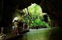 Sea Turtle and Cenote Snorkeling Tour