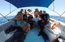 Whale Shark Encounter Full-Day all inclusive Tour from Riviera Maya