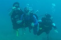 Paragliding Trip Over Lebanon - Jounieh Bay