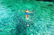 Tropical Paradise Ilha Grande on a Private Fastboat Tour