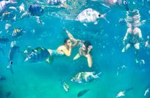 Tropical Paradise Ilha Grande on a Private Fastboat Tour
