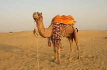 Full Day Sightseeing Tour of Jaisalmer