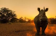 Nairobi National Park Tour