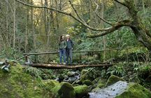 Private Hiking Tour to Mtirala National Park from Batumi