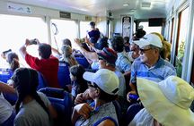 Private Tour: Rio Experience (Christ the Redeemer, Sugar Loaf and more !)