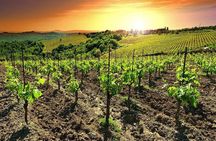 Temecula Wine Country Tour from San Diego