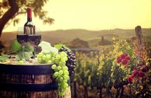 Temecula Wine Country Tour from San Diego