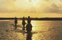 Discovery ride on horseback or camel 2h30