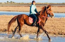 Discovery ride on horseback or camel 2h30