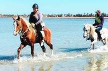 Discovery ride on horseback or camel 2h30