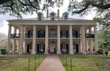 Oak Alley and Laura Plantation Tour with Transportation from New Orleans