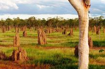 Taste the Atherton Tablelands Food & Wine Tour from Port Douglas