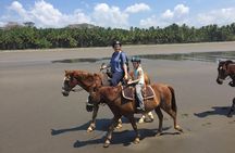 CR BEACH BARN- Horseback Riding On The gorgeous Beach 