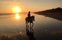 CR BEACH BARN- Horseback Riding On The gorgeous Beach 