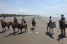 CR BEACH BARN- Horseback Riding On The gorgeous Beach 