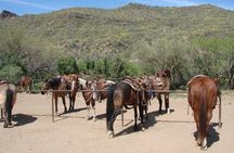 A Day In The Old West Adventure including Horseback Ride and Cowboy Lunch