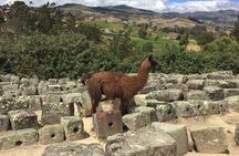 Ingapirca Inca Ruins Cultural Day Trip from Cuenca