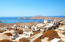 Delos Day Trip from Mykonos