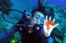 Rhodes Scuba Diving Experience
