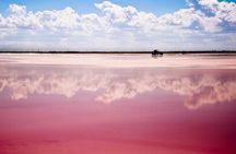 Ek Balam, Rio Lagartos and Las Coloradas Private Tour from Cancun