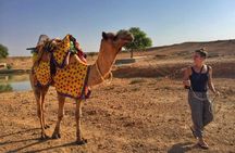 Overnight Camping With Camel Safari In Jaisalmer