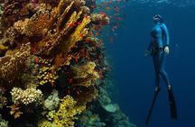 Try Freediving on Nusa Penida