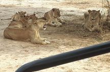 day trip tarangire