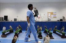 Abu Dhabi Falcon Hospital Tour