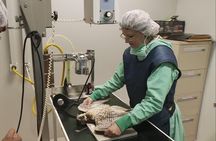 Abu Dhabi Falcon Hospital Tour