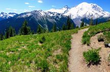 Hike Mt. Rainier & Taste Yakima Valley Wine: All-Inclusive Day Tour from Seattle