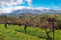 The Gourmet Wine Tour of Heraklion area