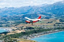 Air Whale Watching in Kaikoura