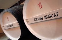 McLaren Vale Private Wine Tour