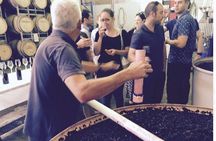 McLaren Vale Private Wine Tour