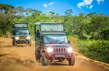 Ella Hotel to Yala National Park Transfers