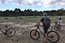 Angkor Wat Sunrise VIP Bike Private Tour
