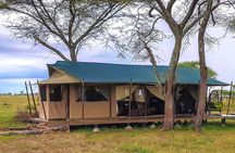 5 Days Tanzania Tented Camp Safari