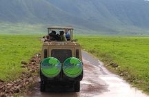 5 Days Tanzania Tented Camp Safari