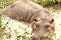 5 Days Tanzania Tented Camp Safari