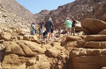 Ghost City Safari Tour from Hurghada, Makadi Bay, and Sahl Hasheesh