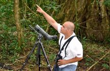 Manuel Antonio Park Nature Guided Tour with a Nature Specialist