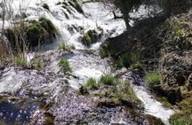 NP Krka & Trogir from Split - Private Excursions