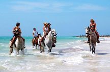 Horseback Riding on the Beach in Punta Cana (One Hour)
