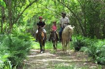Horseback Riding on the Beach in Punta Cana (One Hour)