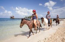 Horseback Riding on the Beach in Punta Cana (One Hour)
