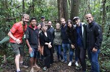 Guarani Tribe Experience: Experience in indigenous villages